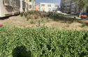 莲馨苑实景图