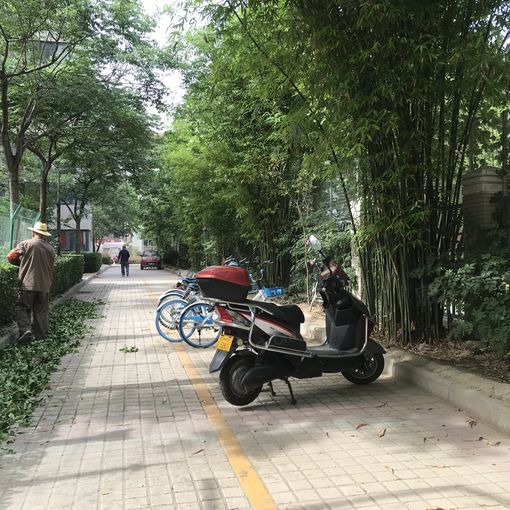  �������ͻ�԰����1��1��������900.00Ԫ/�³��� 