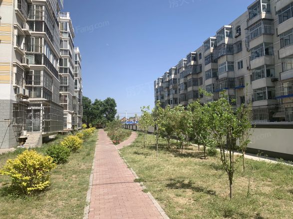 新乐园小区实景图