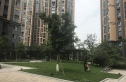 湟普国际湟座实景图