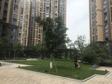 湟普国际3室1厅西北