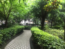 万达商圈协信旁,小区环境优雅,出行方便,轻轨房