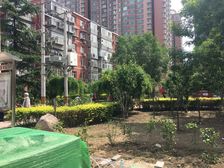 甘露园南里新满五年唯一,南向一居室出售