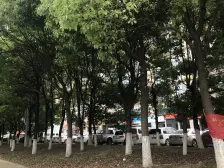 独墅湖边,交通便利,诚意出售,楼层位置佳