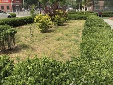 (好房必看)燕郊地铁房,福成六期,有钥匙看房方便,提前预约