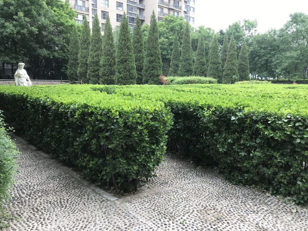 小区相关图