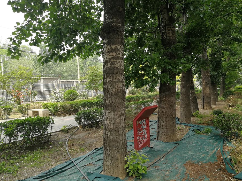 小区相关图