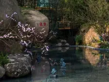 龙兴 华宇两江御临府珑园四期三房82万