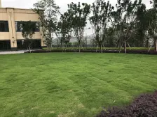 蔡家 东原嘉阅湾99号五房323万