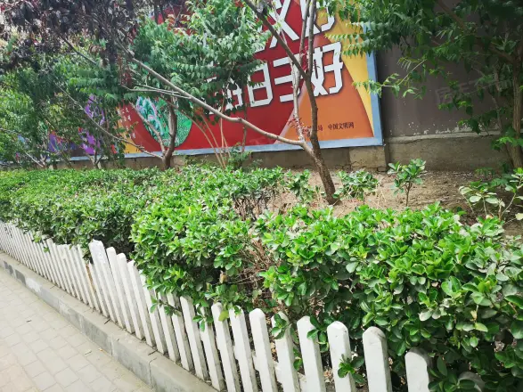 永泰中路23号院实景图