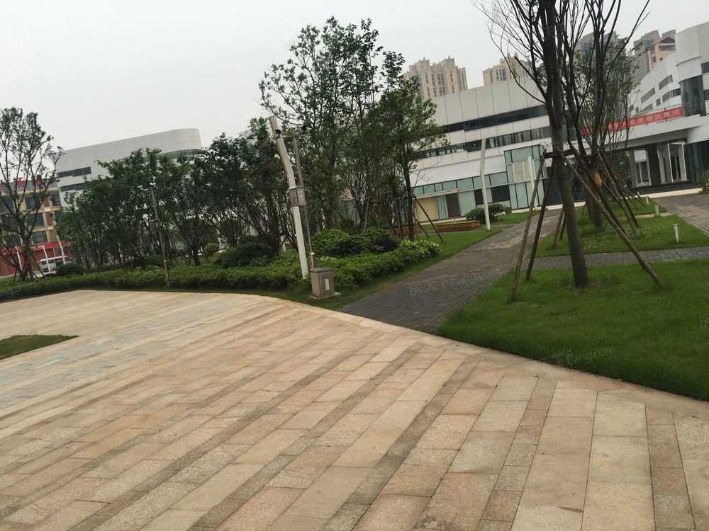 小区相关图
