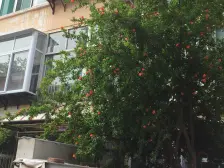 纬一路478号 1室1厅 南