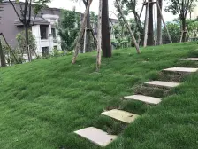 蔡家 东原嘉阅湾98号八房730万