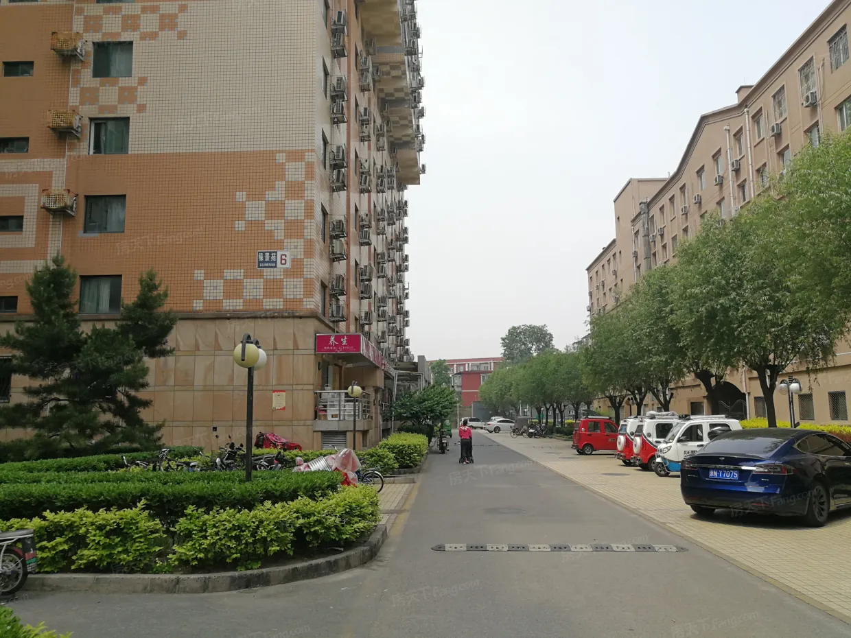 别名:solo一期绿景苑