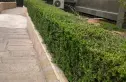 世纪金色嘉园实景图