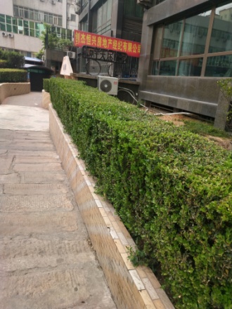 世纪金色嘉园实景图