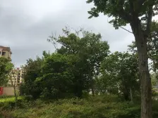 同润金色橘苑 3室2厅 南 北