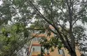 永泰中路23号院实景图