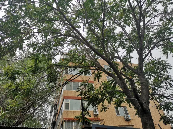 永泰中路23号院实景图