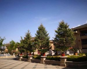 紫荆·墅6室3厅南