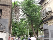 三楼中间楼层前排采光无遮挡精装修两室朝阳户型好