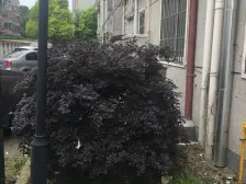 精装修大两房,近地铁,交通便利,配套成熟