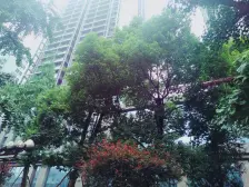 南岸区四公里 双轻轨站 精装修 正规三房双卫 拎包入住