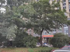 双地铁口,精装修,总价低,有租约,看房方便