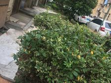 品质小区,环境优美,诚意出售,精装好房