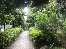 顶楼带阁楼,视野好,采光好,拎包入住