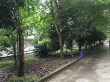 正规一室一厅,家具家电齐全 拎包入住