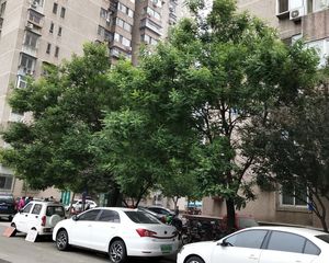 新兴家园 2室1厅 东