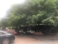 知音阁 1室1厅 西南