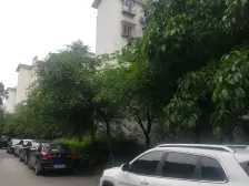 龙井佳苑小区二期 3室2厅 东南