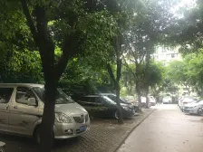 户型方正 住家精装 采光好 视野效果好