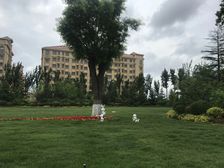 美航康悦城 11层小高 一梯两户 南北通透 绿化好物业好