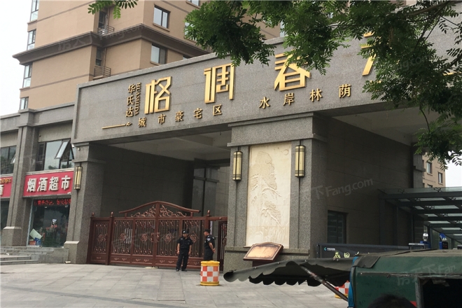 格调春天实景图