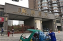 格调春天实景图
