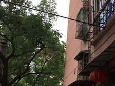 两房朝东+厨卫全明+精装修可以拎包入住+看房方便