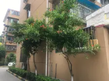 一梯两户,主卧朝南,交通便利,居家装修