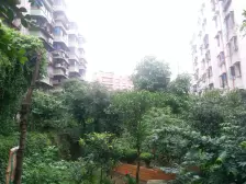 鱼洞 广益街二房