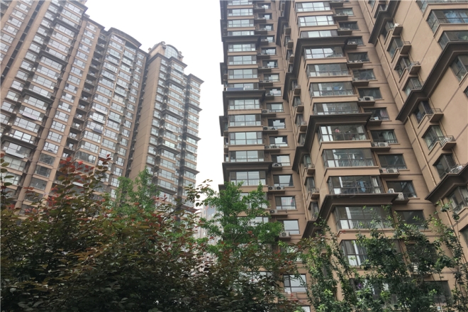 格调春天实景图