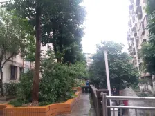 鱼洞 广益街二房