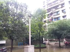 鱼洞 大江中路南七巷三房30万