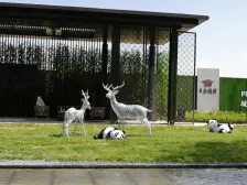 新中式小区洋房小区环境优雅物业管理贴心采光无遮挡