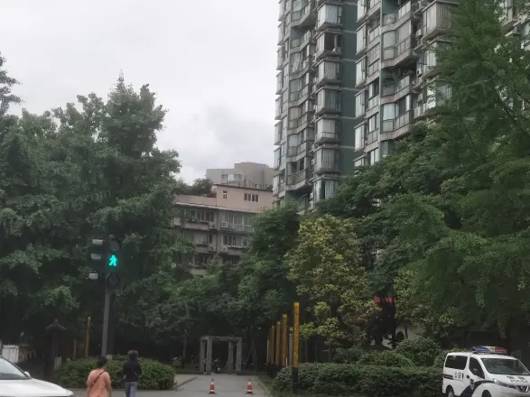 锦里西路66号院实景图