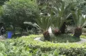 贵通御苑金枫阁实景图
