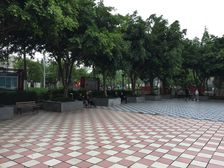 新桥丽景B区1室1厅东南