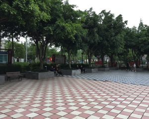 新桥丽景B区1室1厅东南