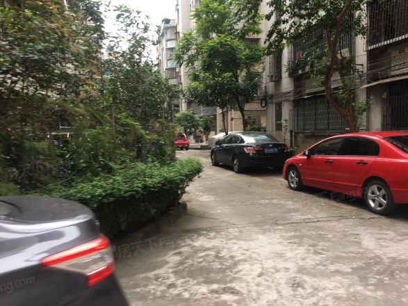 市桥怡乐园实景图